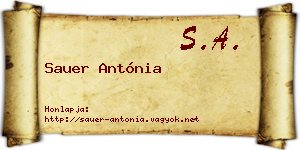 Sauer Antónia névjegykártya